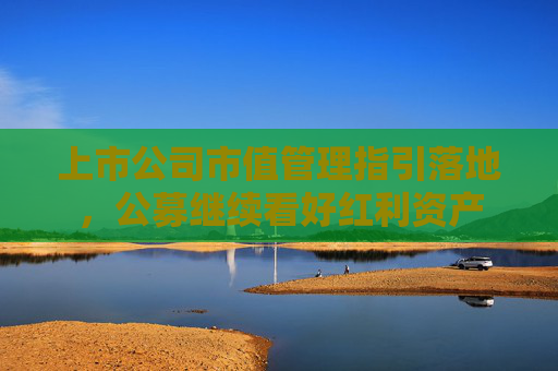 上市公司市值管理指引落地，公募继续看好红利资产