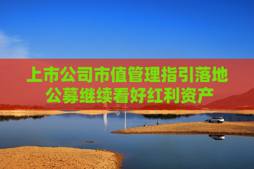 上市公司市值管理指引落地 公募继续看好红利资产