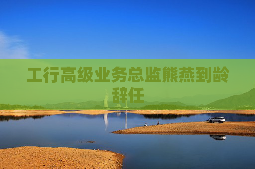 工行高级业务总监熊燕到龄辞任