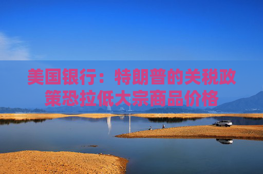 美国银行：特朗普的关税政策恐拉低大宗商品价格