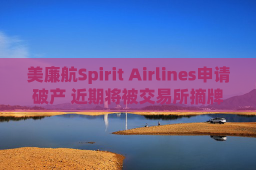 美廉航Spirit Airlines申请破产 近期将被交易所摘牌