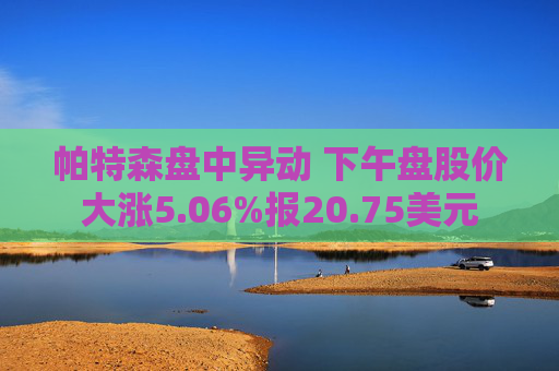 帕特森盘中异动 下午盘股价大涨5.06%报20.75美元