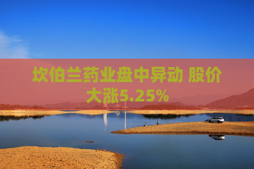 坎伯兰药业盘中异动 股价大涨5.25%