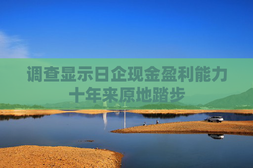 调查显示日企现金盈利能力十年来原地踏步