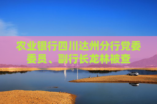 农业银行四川达州分行党委委员、副行长龙林被查