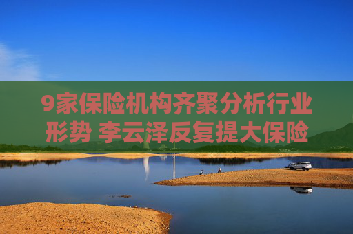 9家保险机构齐聚分析行业形势 李云泽反复提大保险观传递什么信号？