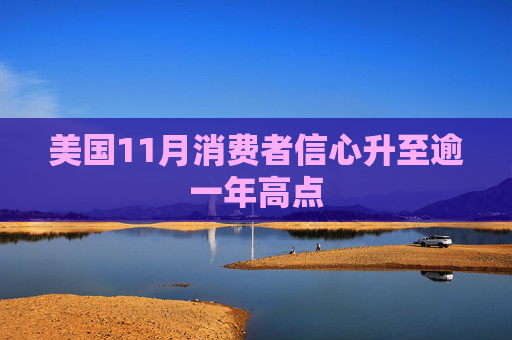 美国11月消费者信心升至逾一年高点