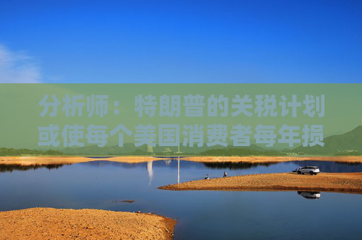 分析师：特朗普的关税计划或使每个美国消费者每年损失高达2400美元