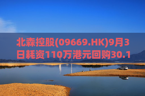 北森控股(09669.HK)9月3日耗资110万港元回购30.1万股