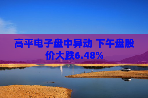 高平电子盘中异动 下午盘股价大跌6.48%