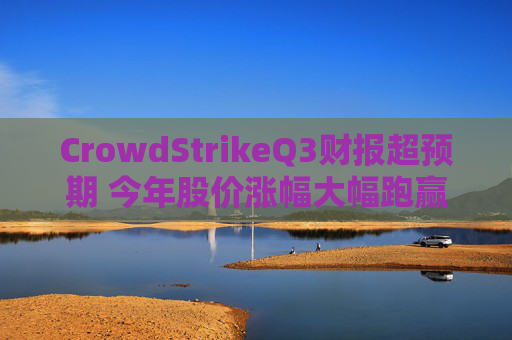 CrowdStrikeQ3财报超预期 今年股价涨幅大幅跑赢标普500指数