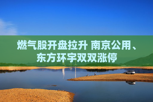 燃气股开盘拉升 南京公用、东方环宇双双涨停