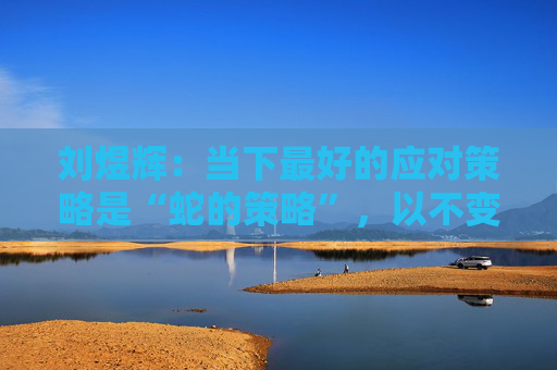 刘煜辉：当下最好的应对策略是“蛇的策略”，以不变应万变