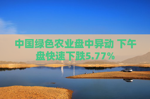 中国绿色农业盘中异动 下午盘快速下跌5.77%