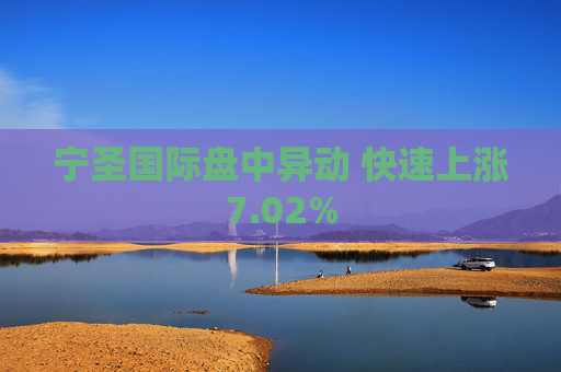 宁圣国际盘中异动 快速上涨7.02%