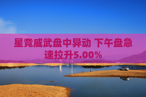 星竞威武盘中异动 下午盘急速拉升5.00%