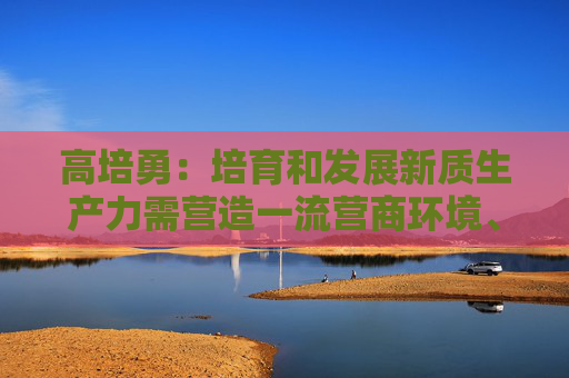 高培勇：培育和发展新质生产力需营造一流营商环境、稳定企业预期