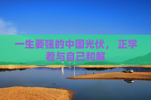 一生要强的中国光伏， 正学着与自己和解