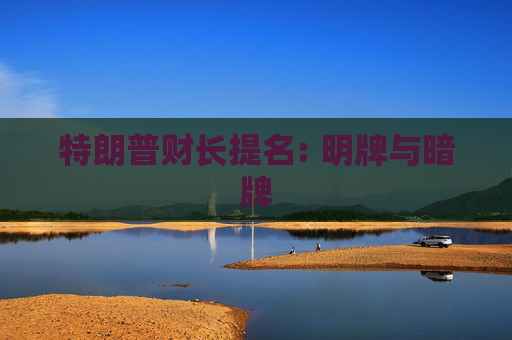 特朗普财长提名: 明牌与暗牌