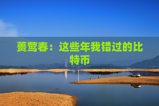 蒉莺春：这些年我错过的比特币