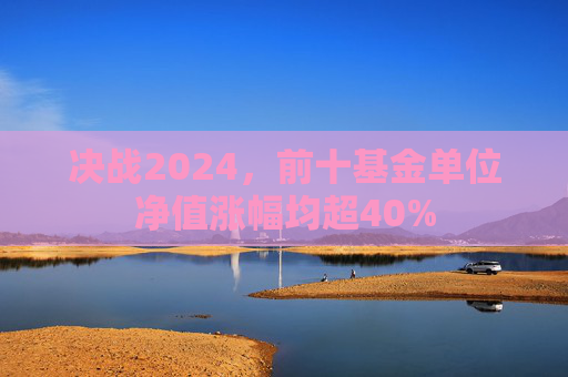 决战2024，前十基金单位净值涨幅均超40%