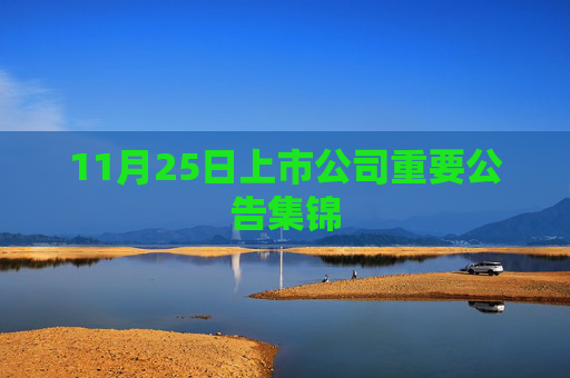 11月25日上市公司重要公告集锦