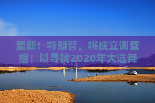 最新！特朗普，将成立调查组！以寻找2020年大选舞弊的证据