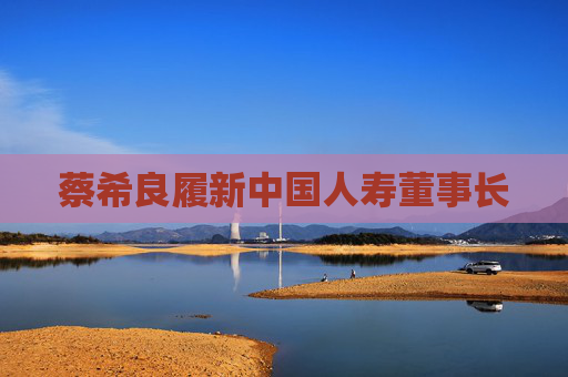 蔡希良履新中国人寿董事长