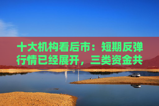 十大机构看后市：短期反弹行情已经展开，三类资金共振推动跨年行情