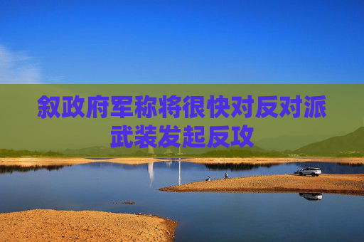 叙政府军称将很快对反对派武装发起反攻