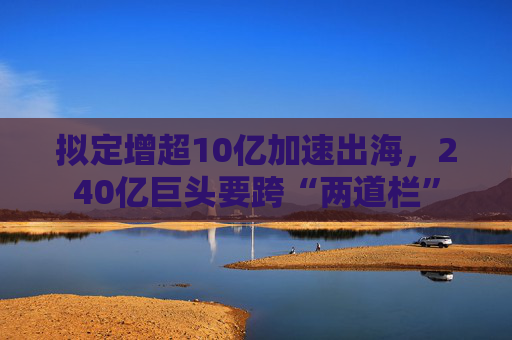 拟定增超10亿加速出海，240亿巨头要跨“两道栏”