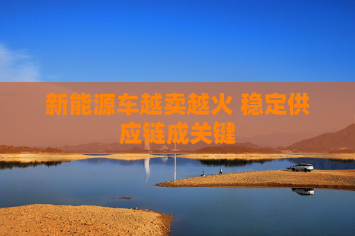 新能源车越卖越火 稳定供应链成关键