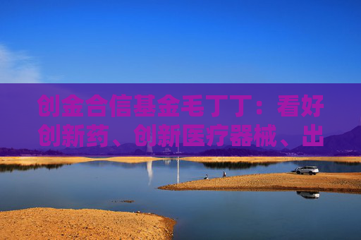 创金合信基金毛丁丁：看好创新药、创新医疗器械、出海产业链的投资机会