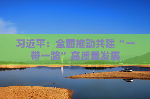 习近平：全面推动共建“一带一路”高质量发展