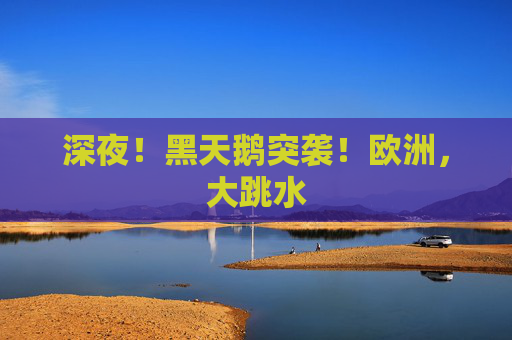 深夜！黑天鹅突袭！欧洲，大跳水