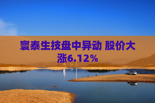 寰泰生技盘中异动 股价大涨6.12%