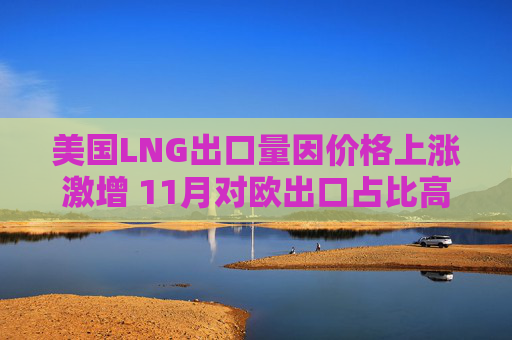 美国LNG出口量因价格上涨激增 11月对欧出口占比高达68%
