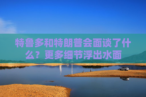 特鲁多和特朗普会面谈了什么？更多细节浮出水面