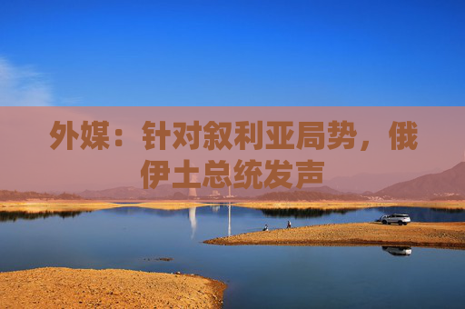 外媒：针对叙利亚局势，俄伊土总统发声