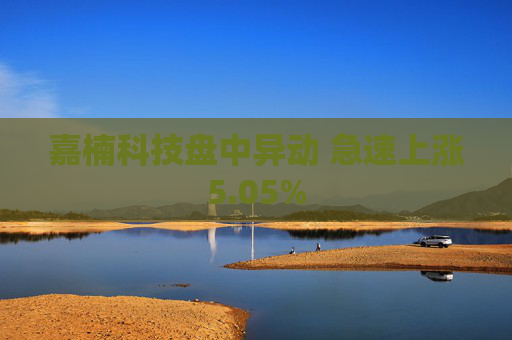 嘉楠科技盘中异动 急速上涨5.05%