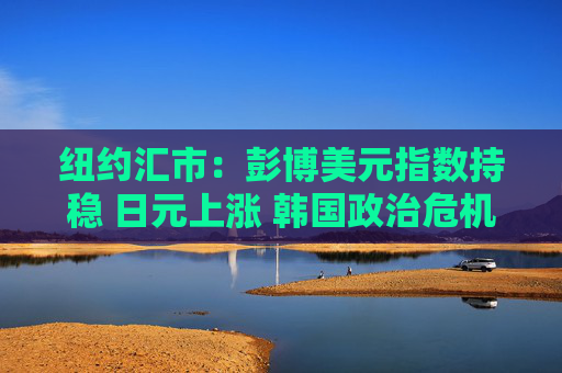 纽约汇市：彭博美元指数持稳 日元上涨 韩国政治危机引发避险需求