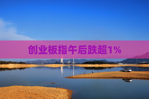 创业板指午后跌超1%