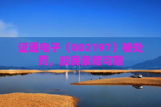 证通电子（002197）被处罚，股民索赔可期