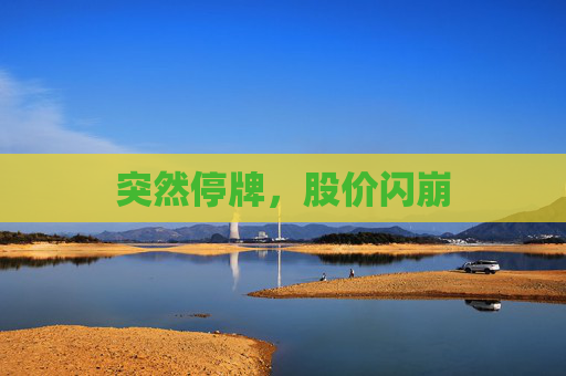 突然停牌，股价闪崩