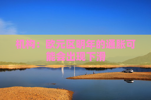 机构：欧元区明年的通胀可能会出现下滑