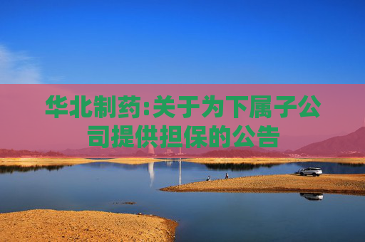 华北制药:关于为下属子公司提供担保的公告