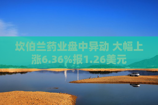 坎伯兰药业盘中异动 大幅上涨6.36%报1.26美元