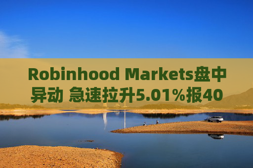 Robinhood Markets盘中异动 急速拉升5.01%报40.87美元