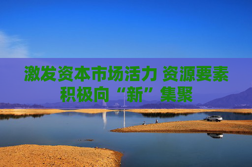 激发资本市场活力 资源要素积极向“新”集聚