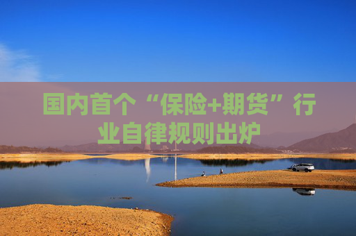 国内首个“保险+期货”行业自律规则出炉